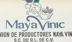 Maya Vinic