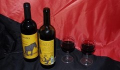 Terruño Libertario - Anarchistischer Bio-Rotwein aus kollektivem Vertrieb